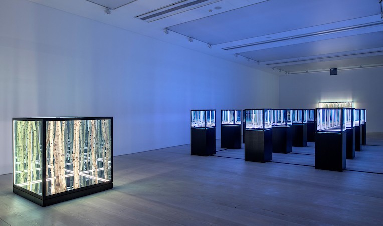 Anthony James: Square Roots