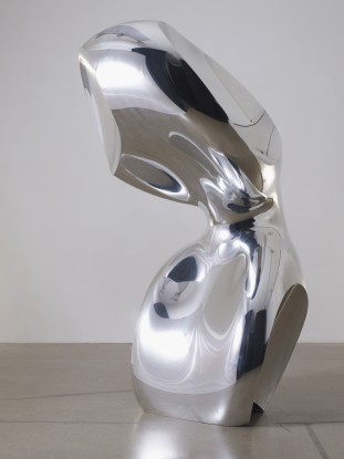 Ron Arad, Bodyguard (solid), 2008